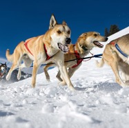 _Y6G7434 HDR D copy.jpg